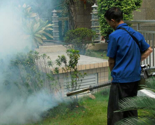 �������ĺ�